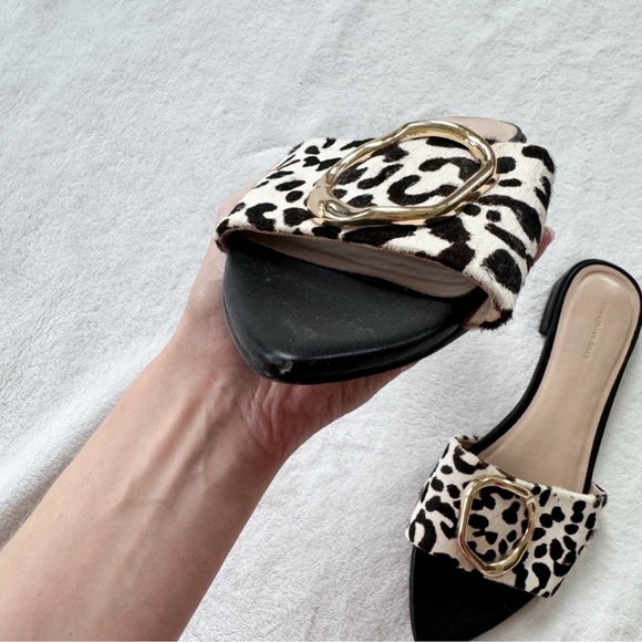 Something Navy Leopard Print Slide Sandals Gold Buckle Pointed Toe Mules Size 8 - Picture 4 of 8